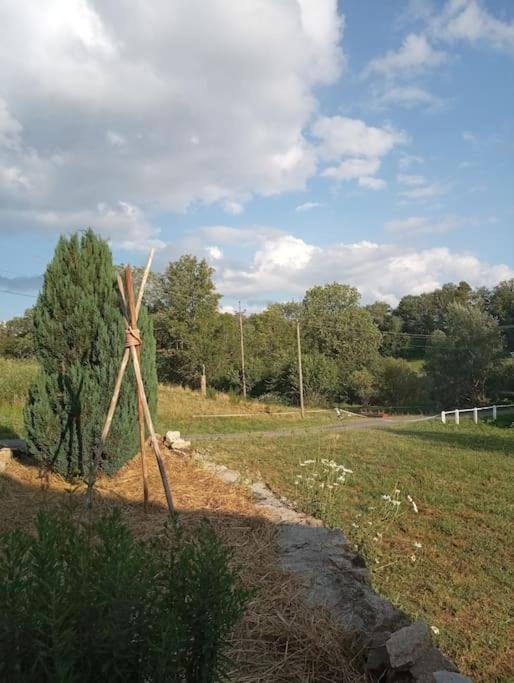 Maisonnette Chaleureuse De 35M2 Miremont (Puy-de-Dome) Exterior foto
