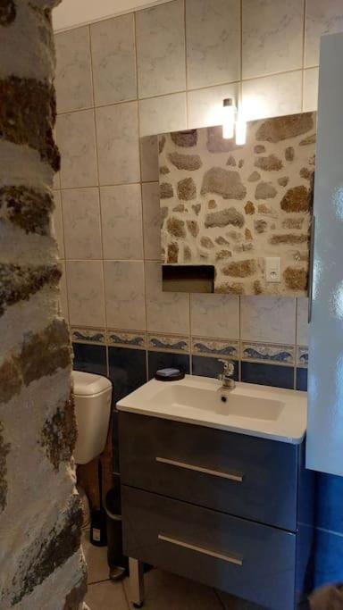 Maisonnette Chaleureuse De 35M2 Miremont (Puy-de-Dome) Exterior foto
